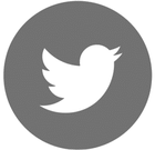 Twitter Logo Button leading to the Assura + Protect Twitter Profile.
